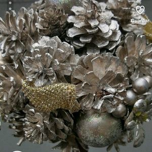 Meet your Posher, Jesse